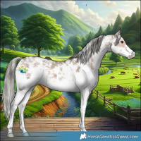 Horse Color:Liver Red Dun Mushroom Sabino