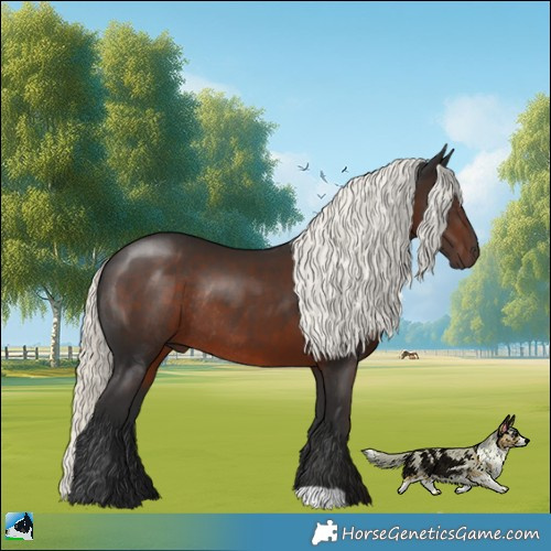 Horse Color:Liver Chestnut Mushroom Rabicano 