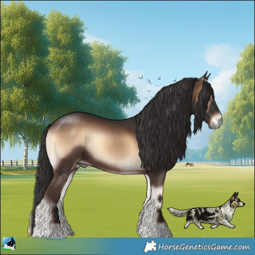 Horse Color:Liver Red Onyx Rabicano 