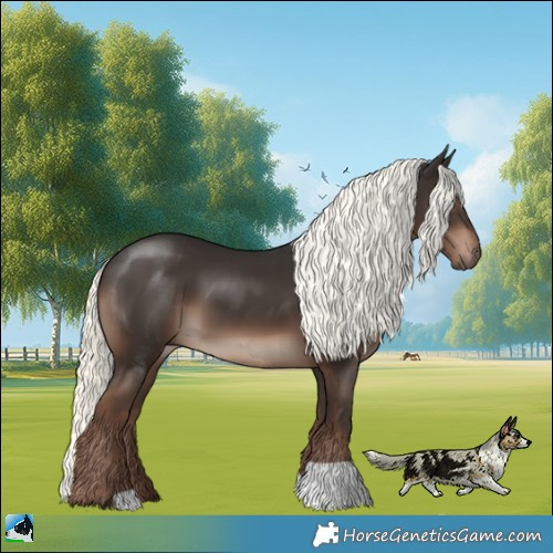 Horse Color:Liver Chestnut Mushroom 