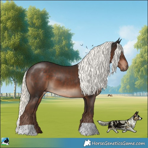 Horse Color:Liver Chestnut Mushroom 