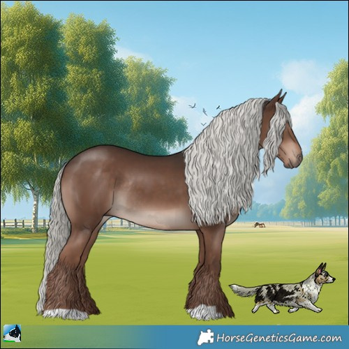Horse Color:Liver Chestnut Mushroom Rabicano 