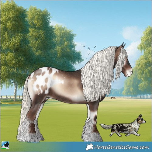 Horse Color:Liver Red Onyx Mushroom Blanket Rabicano 
