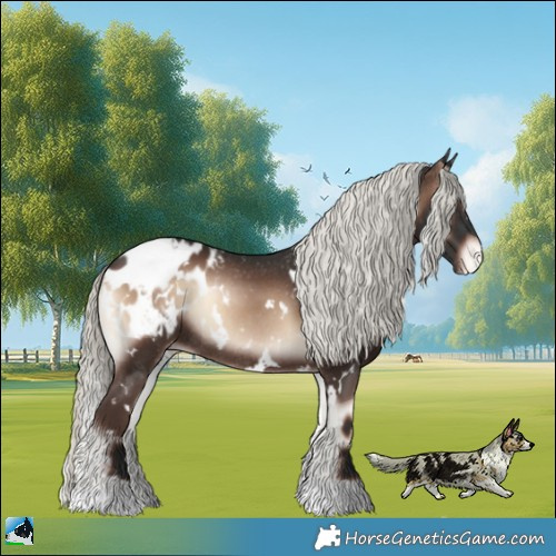 Horse Color:White Spotted Liver Red Onyx Mushroom Blanket Rabicano 