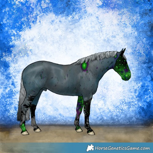 Horse Color:ERROR: UNKNOWN ANOMALY