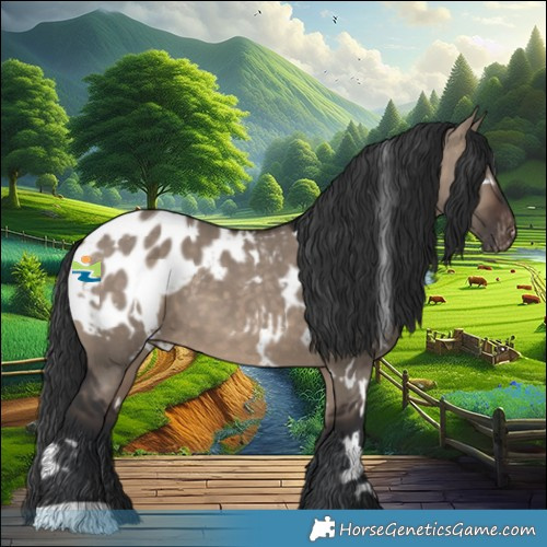Horse Color:White Spotted Brown Dun Appaloosa 