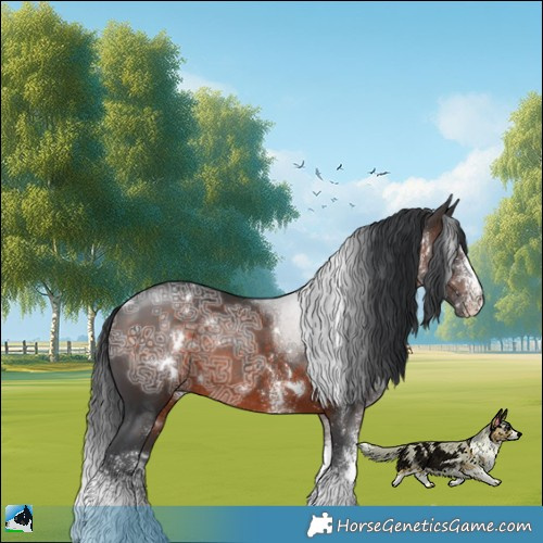 Horse Color:White Spotted Brown Ice Rabicano 