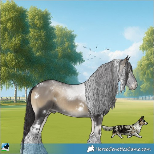 Horse Color:White Spotted Smoky Blue Onyx Mushroom Rabicano 