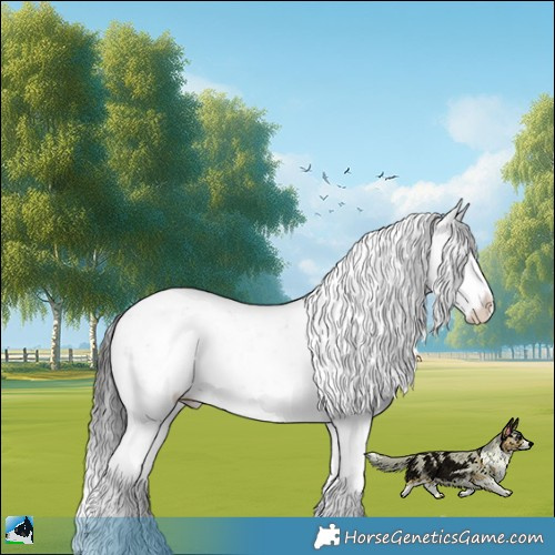 Horse Color:Buckskin Ice Dun Sabino Rabicano 