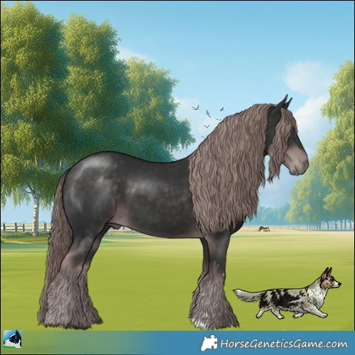 Horse Color:Platinum Liver Chestnut 