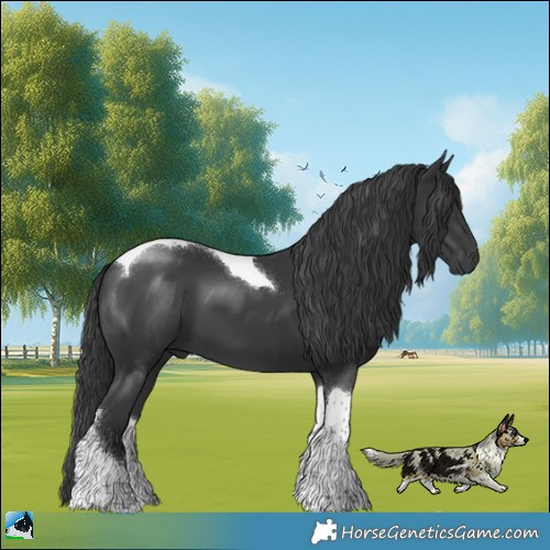 Horse Color:Platinum Black Tobiano 