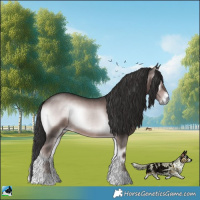 Horse Color:Platinum Liver Red Onyx