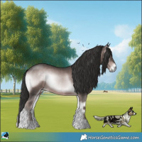 Horse Color:Platinum Liver Red Onyx 