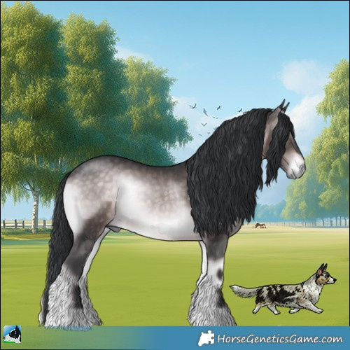 Horse Color:Platinum Brown Onyx Rabicano 