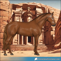Horse Color:Gray Chestnut 