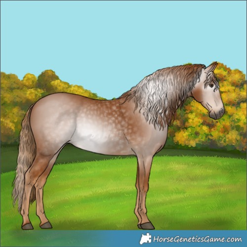 Horse Color:Gray Chestnut