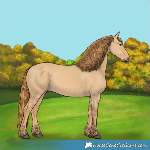 Horse Color:Red Dun 
