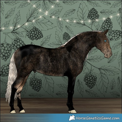 Horse Color:Void Chocolate Palomino Roan Pearl Tobiano 