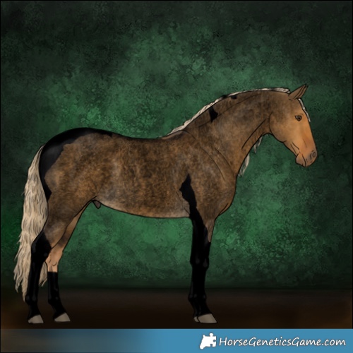 Horse Color:Void Chocolate Palomino Roan Dun Tobiano 