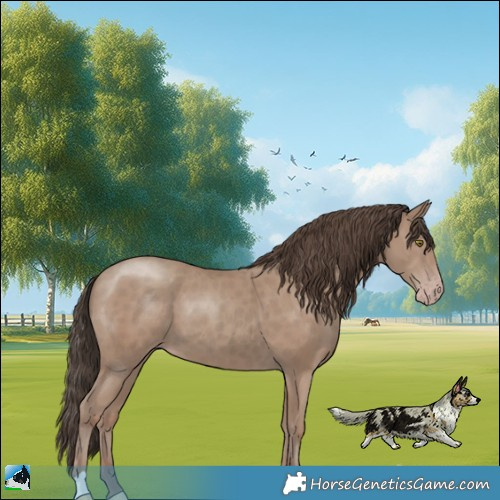 Horse Color:Classic Champagne 