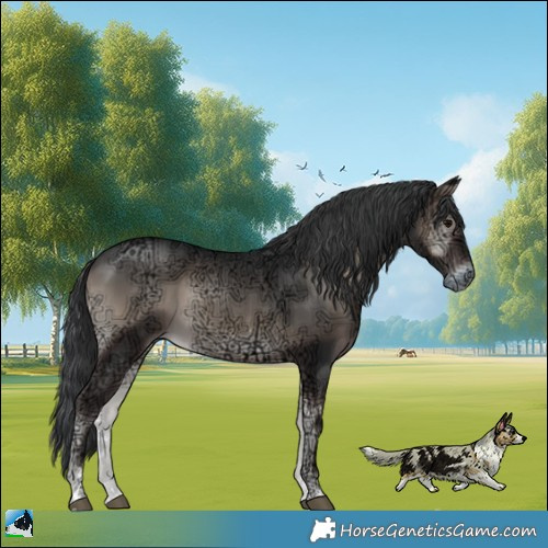 Horse Color:Blue Onyx Ice Mushroom 