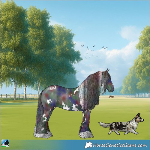 Horse Color:Nacre White Spotted Black Mushroom Rabicano