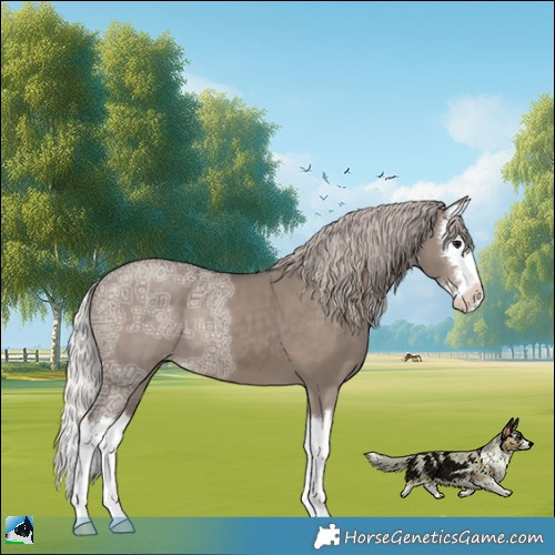 Horse Color:Silver Grullo Ice Splash 