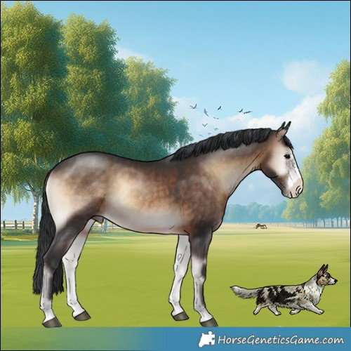 Horse Color:Brown Onyx Sabino 