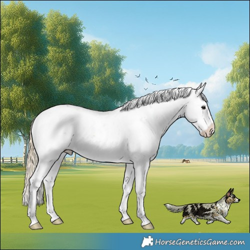 Horse Color:Liver Red Onyx Sabino 