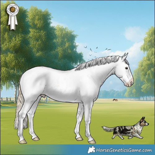 Horse Color:Liver Red Onyx Sabino 