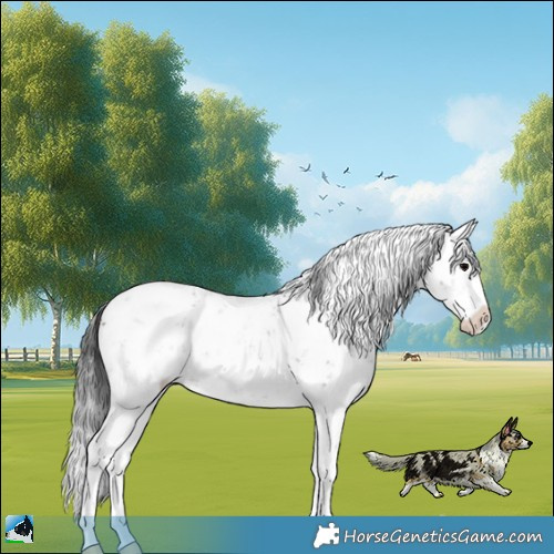 Horse Color:White Spotted Brown Ice Onyx Sabino Rabicano 