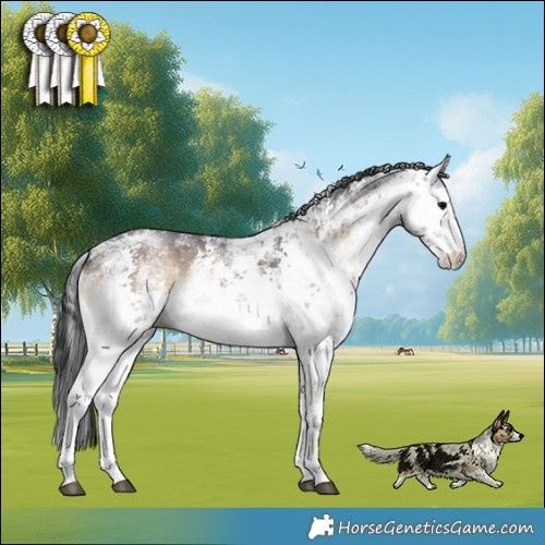 Horse Color:White Spotted Brown Onyx Sabino 