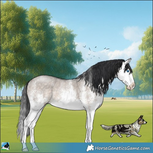 Horse Color:White Spotted Brown Dun Mushroom Splash 