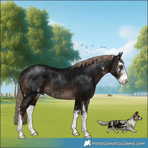 Horse Color:Liver Chestnut Ice Sabino 