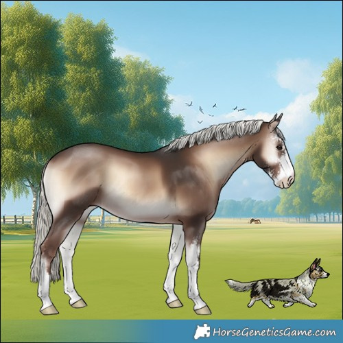 Horse Color:Liver Red Onyx Mushroom Sabino 