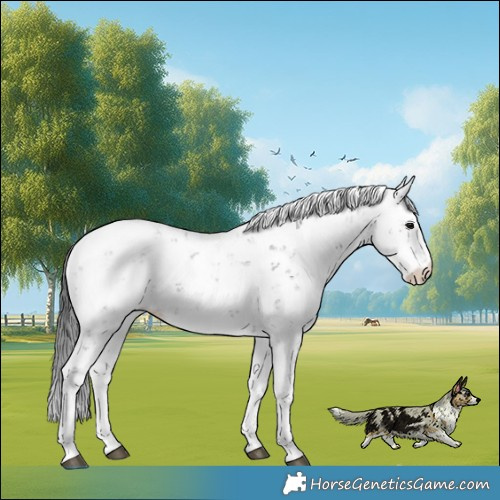 Horse Color:Black Ice Mushroom Sabino 