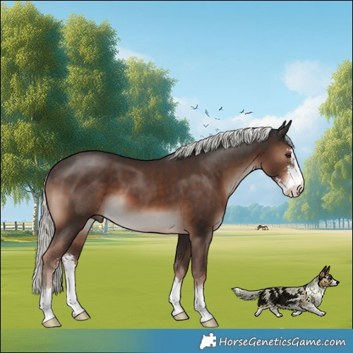 Horse Color:Liver Chestnut Mushroom Sabino 
