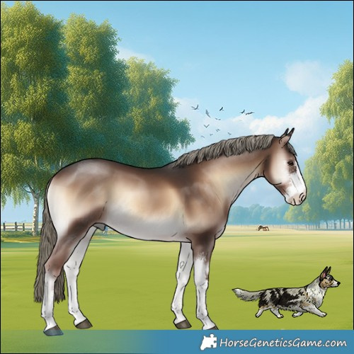 Horse Color:Liver Red Onyx Mushroom Sabino 