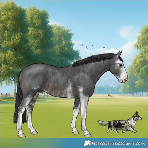 Horse Color:Brown Ice Sabino 