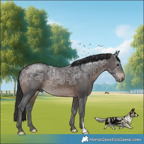 Horse Color:Brown Ice Mushroom 