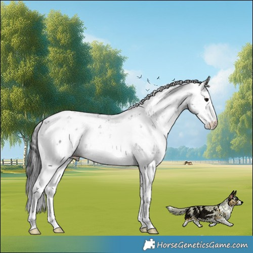 Horse Color:Brown Ice Onyx Mushroom Sabino Brindle 