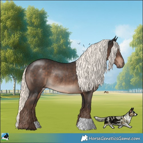 Horse Color:Liver Chestnut Mushroom Rabicano 