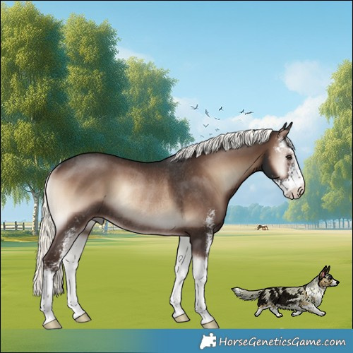Horse Color:Liver Red Onyx Mushroom Sabino Rabicano 