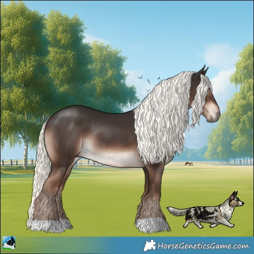 Horse Color:Liver Chestnut Mushroom Rabicano 