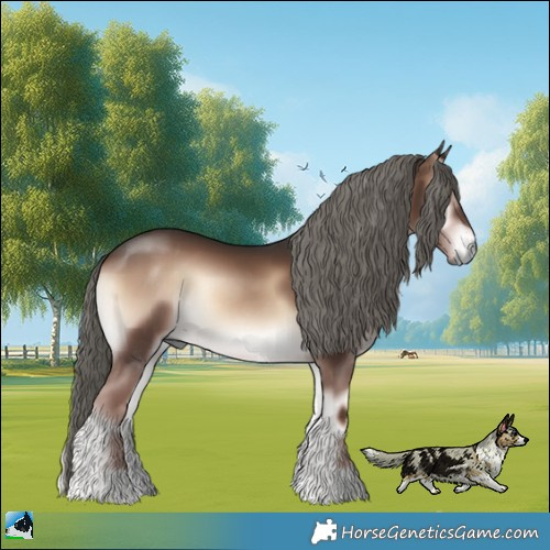 Horse Color:Liver Red Onyx Mushroom 