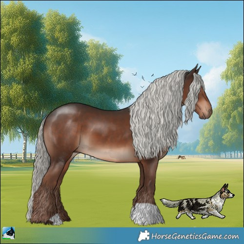 Horse Color:Liver Chestnut Mushroom 