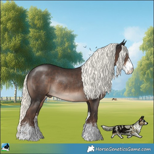 Horse Color:Liver Chestnut Mushroom Sabino Rabicano 