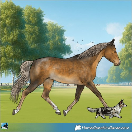 Horse Color:Chocolate Palomino Mushroom Rabicano 