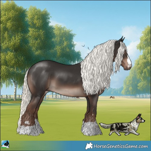 Horse Color:Liver Chestnut Mushroom 