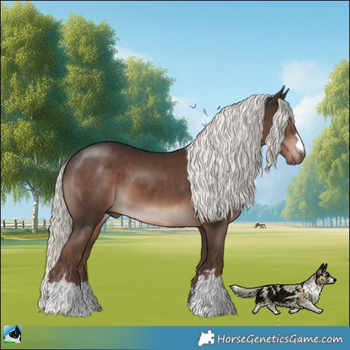 Horse Color:Liver Chestnut Mushroom 